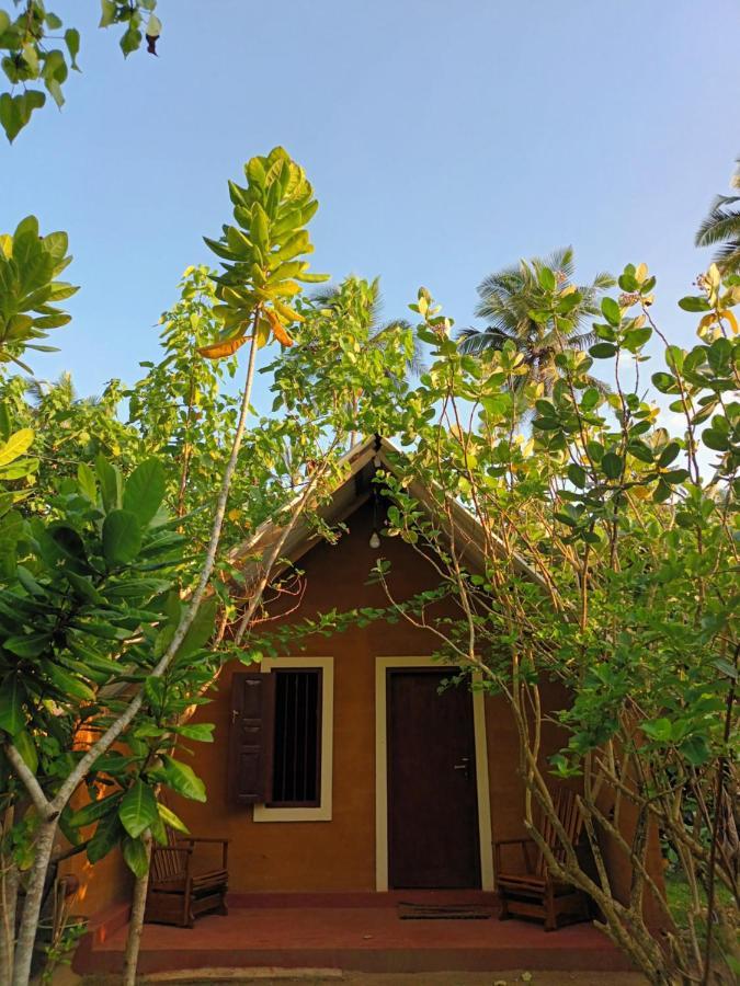 By The C' Cabanas ฮิกคาดูวา ภายนอก รูปภาพ