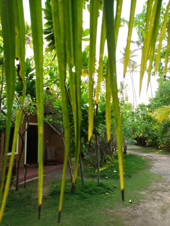 By The C' Cabanas ฮิกคาดูวา ภายนอก รูปภาพ